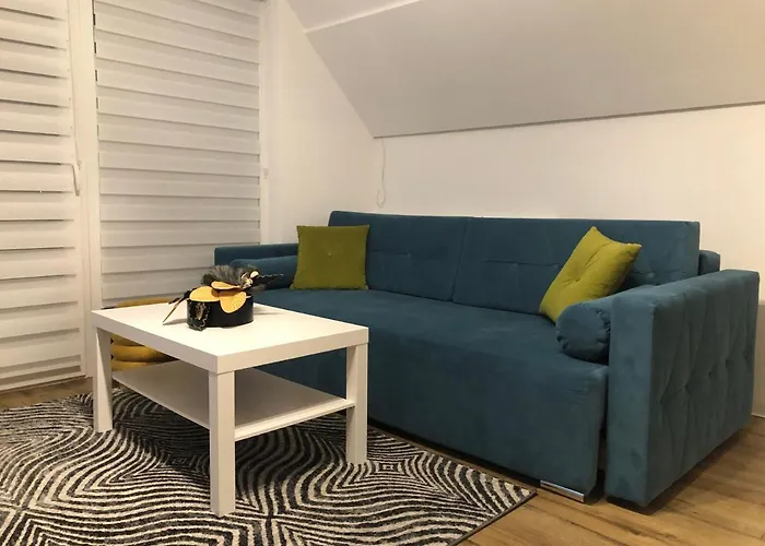 Karaibek 米德尔布罗齐齐耶维奇